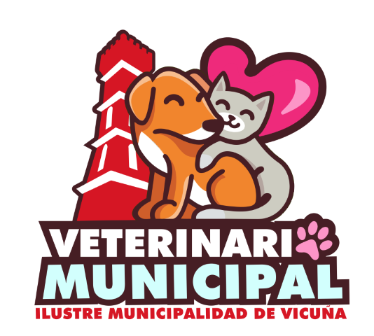 Veterinario Municipal Vicuña